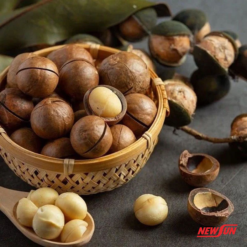 Tác dụng phụ của hạt mắc ca là gì? 4 nhóm người không nên ăn