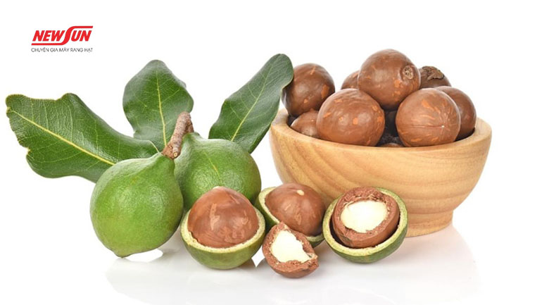 Tác dụng phụ của hạt mắc ca là gì? 4 nhóm người không nên ăn tác dụng phụ của hạt mắc ca, lưu ý