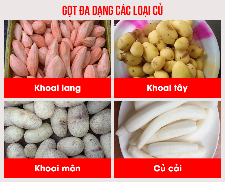 Máy gọt khoai tây TP-600 Gọt đa dạng các loại củ quả