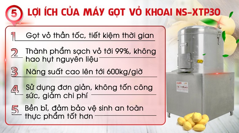 Sử dụng máy gọt khoai tây XTP30 mang lại nhiều lợi ích Sử dụng máy gọt khoai tây XTP30 mang lại nhiều lợi ích