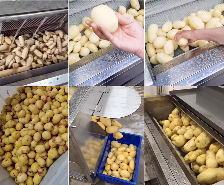 Khác hàng tin tưởng lựa chọn máy cạo rửa củ quả của mayranghat.com Khác hàng tin tưởng lựa chọn máy cạo rửa củ quả của mayranghat.com