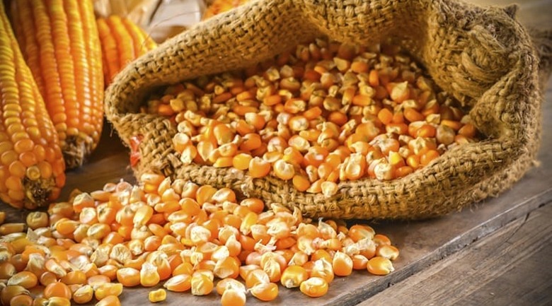 Gợi ý TOP 5 máy rang ngô bán chạy, giá tốt hiện nay Máy rang ngô