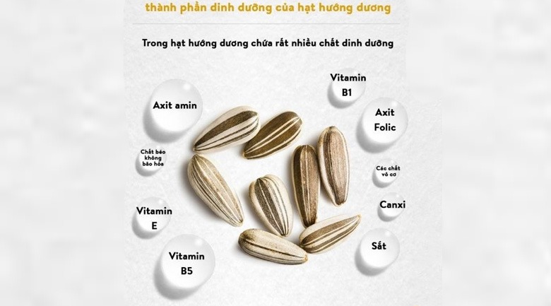 ăn nhiều hạt hướng dương có sao không