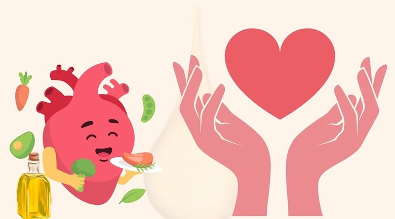 ăn nhiều hạt hướng dương có sao không, tim mạch